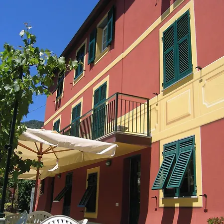 Cerisola 2003 *
